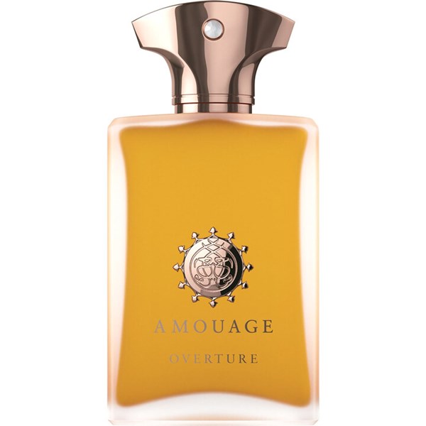 Picture of Amouage Overture Man 